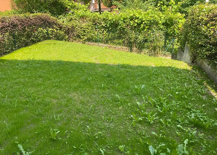 Apartament Olva House